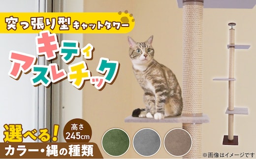 キャットタワー キティアスレチックL-B（高さ245cm） _Qx086-02