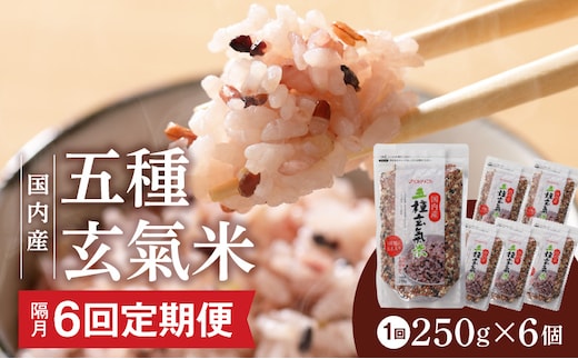 【隔月6回 定期便】国内産 五種玄氣米 250g×6個 1500g×6回_Tk026