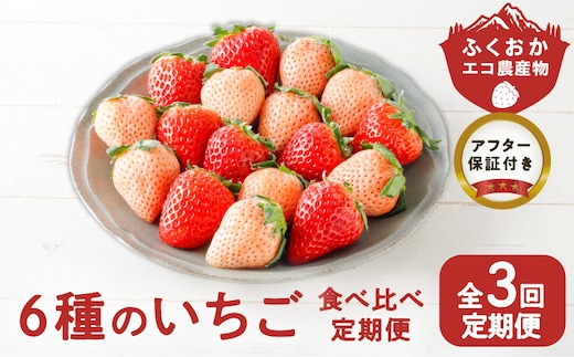 【定期便 3回】特別栽培 6種のいちごの食べ比べ 約540g×3回 _Tk049