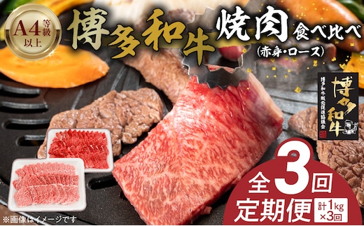 博多和牛赤身・ロース焼肉食べ比べ 計1kg 3回定期便 _Tk053