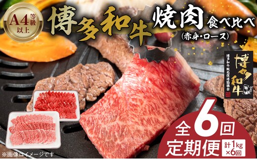 博多和牛赤身・ロース焼肉食べ比べ 計1kg 6回定期便 _Tk054