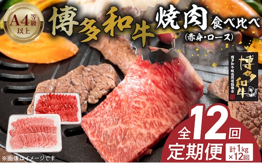 博多和牛赤身・ロース焼肉食べ比べ 計1kg 12回定期便 _Tk055