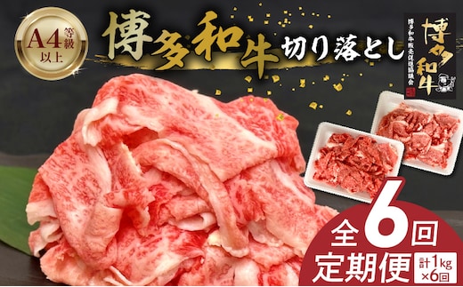 博多和牛切り落とし 500g×2パック 6回定期便 _Tk063