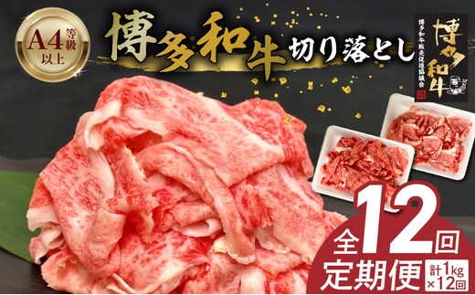 博多和牛切り落とし 500g×2パック 12回定期便 _Tk064