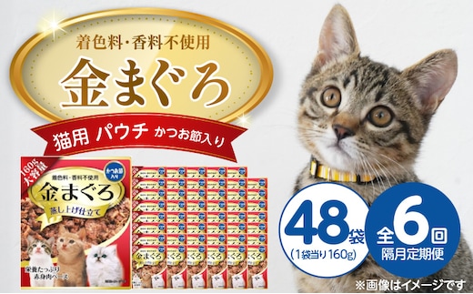 【隔月6回 定期便】金まぐろ 猫用パウチ（かつお節入り）160g×48袋 _Tk093-01