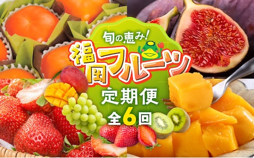 【定期便 6回】旬の恵み！福岡フルーツ定期便 _Tk127