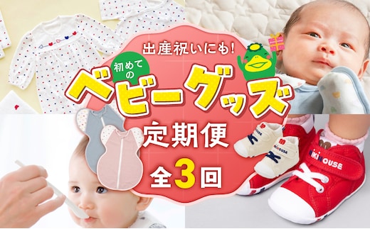 【隔月定期便 3回】出産祝いにも！初めてのベビーグッズ定期便 _Tk129