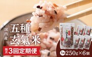 【隔月3回　定期便】国内産 五種玄氣米 250g×6個 1500g×3回_Tk025