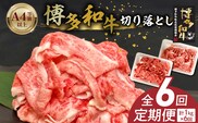 博多和牛切り落とし 500g×2パック　6回定期便 _Tk063