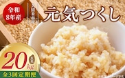 【定期便3回】【令和8年産 新米】福岡県産ブランド米元気つくし 玄米 20kg×3回 _Tk117-03