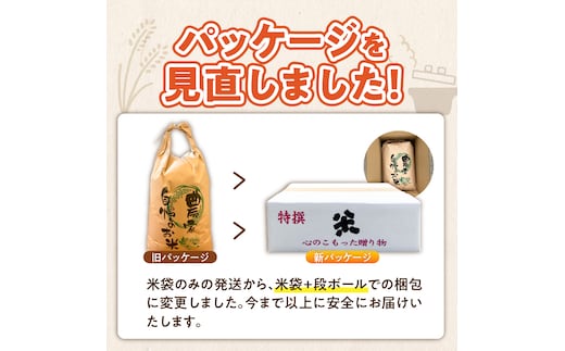 定期便4回】【令和8年産 新米】福岡県産ブランド米元気つくし 玄米