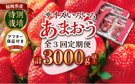 【定期便 3回】うるう農園の特別栽培あまおう サイズ色々 約250～270g×4パック×3回_Tk006