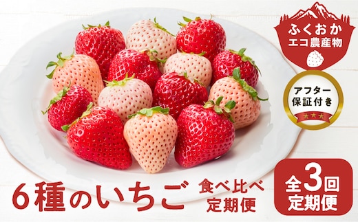 【定期便 3回】特別栽培 6種のいちごの食べ比べ 約540g×3回 _Tk049