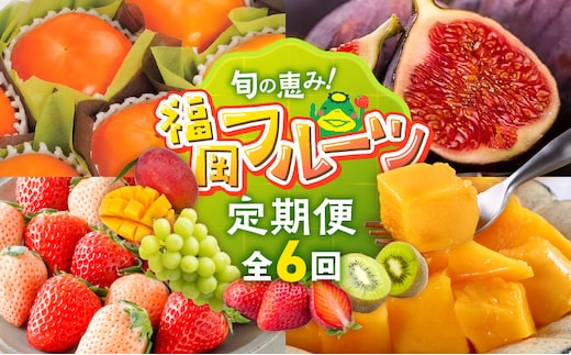 【定期便 6回】旬の恵み！福岡フルーツ定期便 _Tk127