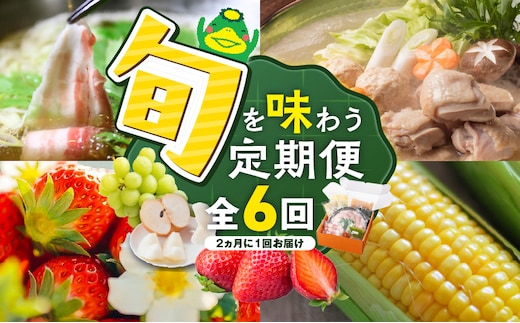 【定期便 6回】旬を味わう定期便 _Tk124