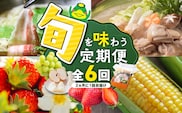 【定期便 6回】旬を味わう定期便 _Tk124