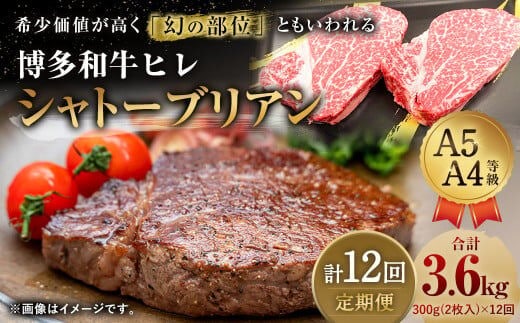 【定期便12回】 博多和牛 ヒレ シャトーブリアン 300g (2枚入り) 黒毛和牛