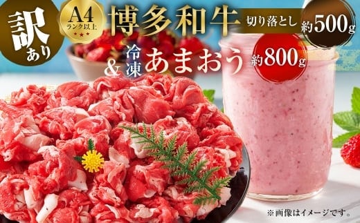 訳あり! 博多 和牛 切り落とし 500g & 冷凍 あまおう 800g セット 2種 計1.3kg イチゴ 苺 牛肉 肉 お肉 牛肩 バラ 国産牛 黒毛和牛 和牛 国産 福岡県産 福岡県 直方市