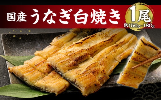 鹿児島産 うなぎ の 白焼き 1本 約150~180g 老舗130年の技