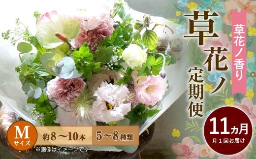 【定期便 11ヶ月】草花ノ定期便 Mサイズ 5~8種類 約8~10本
