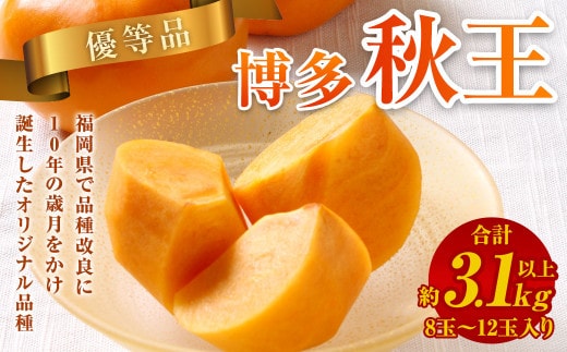 【優等品】福岡県産 博多 秋王 約3.1kg以上 (8玉~12玉入り)【2026年10月上旬~11月下旬発送】 ※北海道・沖縄・離島配送不可