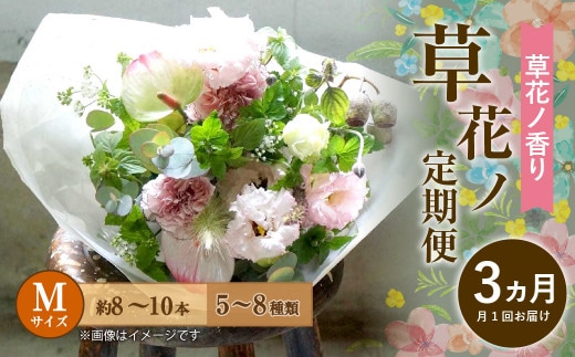 【定期便 3ヶ月】草花ノ定期便 Mサイズ 5~8種類 約8~10本