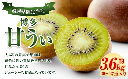 福岡県産 博多甘うぃ 約3.6kg (20玉~27玉入り) 【2026年10月下旬~11月下旬発送】※北海道・沖縄・離島配送不可