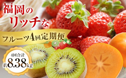 福岡のリッチなフルーツ4回定期便【2026年10月下旬~2027年1月下旬発送予定】 秋王 柿 かき カキ 甘うぃ キウイ いちご イチゴ 苺 あまおう 大きい 大粒 あまい 甘い 果汁 果物 フルーツ 高級 8.38kg