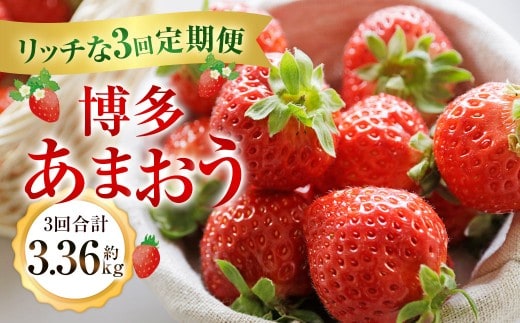 博多あまおうリッチな3回定期便【2026年12月上旬~2027年2月下旬発送予定】 いちご イチゴ 苺 あまおう 大きい 大粒 あまい 甘い 果汁 果物 フルーツ 高級 3.36kg 3360g 福岡 冷蔵