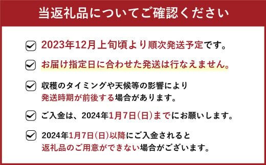 2023年12月上旬より順次発送】福岡県産 博多あまおう DX 上級品 約560g