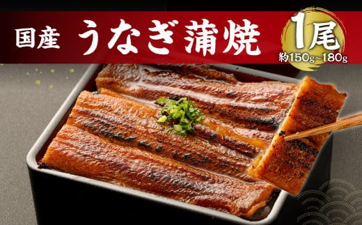 鹿児島産 うなぎ の 蒲焼き 1本 約150~180g 老舗130年の味