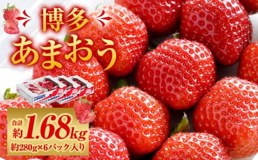 福岡県産 博多あまおう 約1.68kg (約280g×6パック入り) 【2026年1月下旬~3月下旬発送予定】 ※北海道・沖縄・離島配送不可