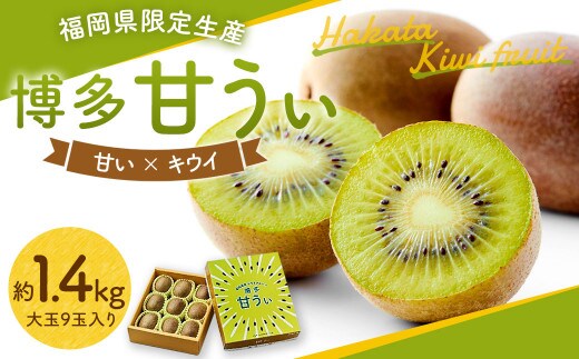 福岡県産 博多 甘うぃ 約1.4kg 大玉9玉入り【2026年10月下旬~11月下旬発送予定】※北海道・沖縄・離島配送不可