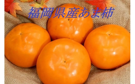 青果市場厳選 「冷蔵」あま柿＜2026年1月から発送開始分先行予約＞【B-211】