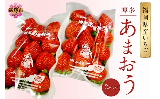 福岡県特産！『あまおう』＜2026年1月から発送開始分先行予約＞【A5-526】