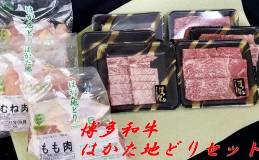 博多和牛 はかた地どり バラエティーセット【E-050】