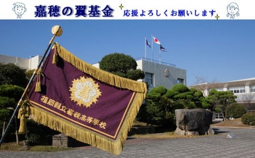 【協賛型返礼品】嘉穂の翼基金を応援！【C-081】