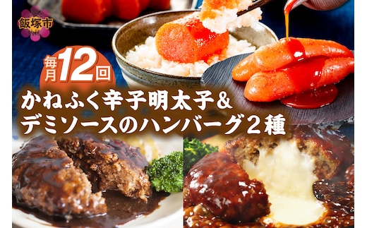 かねふく辛子明太子&デミソースのハンバーグ2種セット【毎月定期便(計12回発送)】【K03-001】