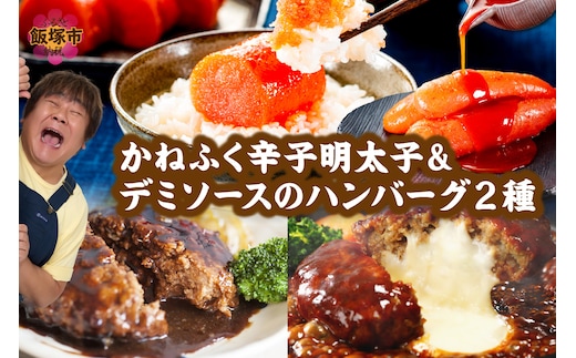 かねふく辛子明太子&デミソースのハンバーグ2種セット【A5-301】