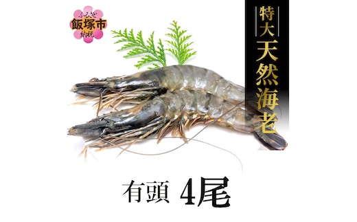 特大 天然海老(有頭・4尾)【C-136】