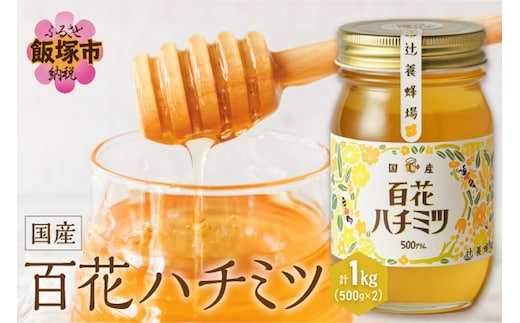 百花ハチミツ 500g×2【B6-020】