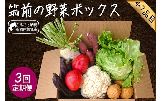 筑前のお野菜4～7種類【3カ月定期便】【B3-072】