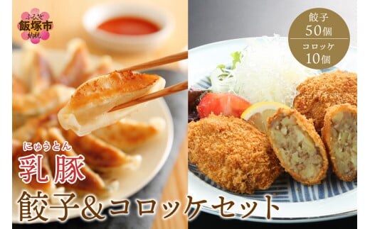 乳豚 餃子50個＆コロッケ10個セット【A7-036】