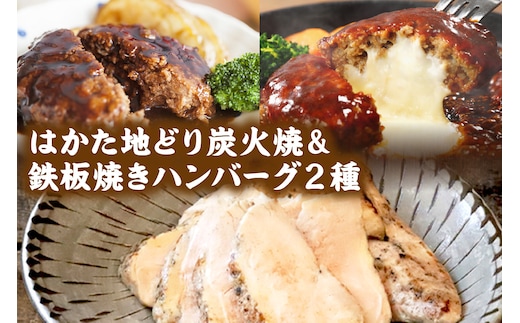 鉄板焼きハンバーグ(2種16個)＆はかた地どり炭火焼(1kg小分け)セット【C-141】