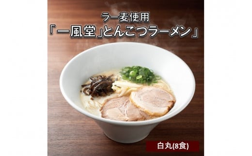 ラー麦使用「一風堂」とんこつラーメン 白丸(8食)【A2-117】