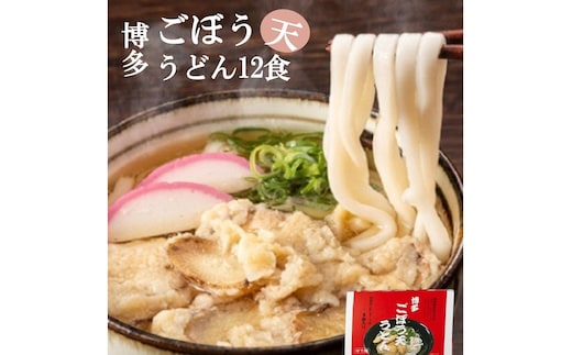 博多ごぼう天うどん 12食セット【A5-431】