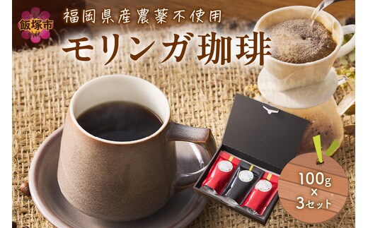 福岡県産モリンガ珈琲【A5-436】