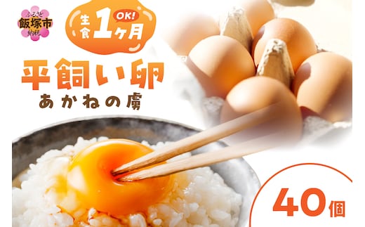 〈平飼い卵〉あかねの虜（40個）【B-182】