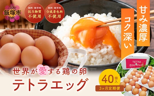 テトラエッグ(40個/月)【3ヵ月定期便】【C5-031】