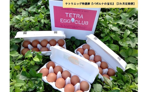 テトラエッグ特選卵『バボルナの宝石』（30個/月）【3カ月定期便】【B9-009】